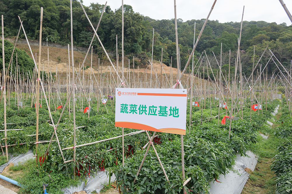 农产品配送从田间到餐桌的绿色通道.png